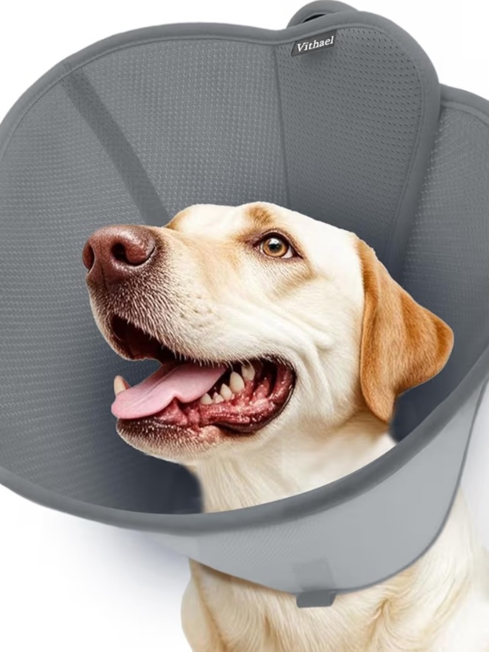 XL Soft Cone for Dog - Neck 18.5 - 21.1 inches